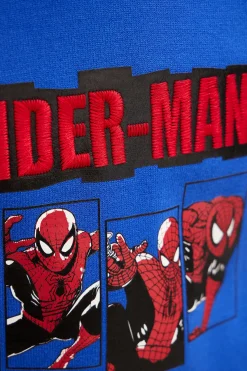 Malhas E Camisolas|Malhas E Sweatshirts<Desigual Sweatshirt do Spiderman sem capuz